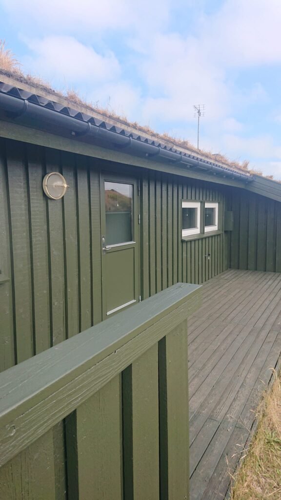 Grøn træhytte med terrasse og græstag